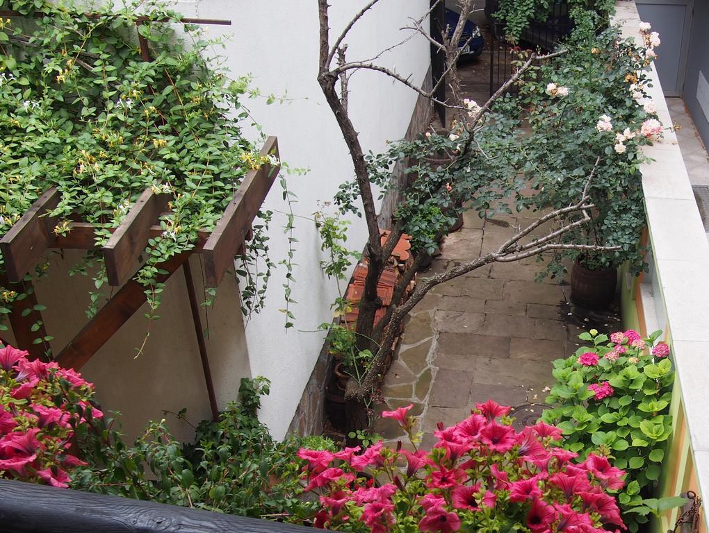Guest Accommodation Etno Konak Tasana Ниш Екстер'єр фото