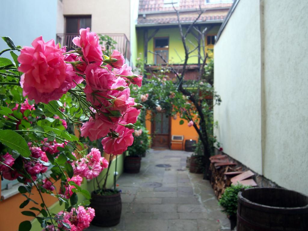 Guest Accommodation Etno Konak Tasana Ниш Екстер'єр фото