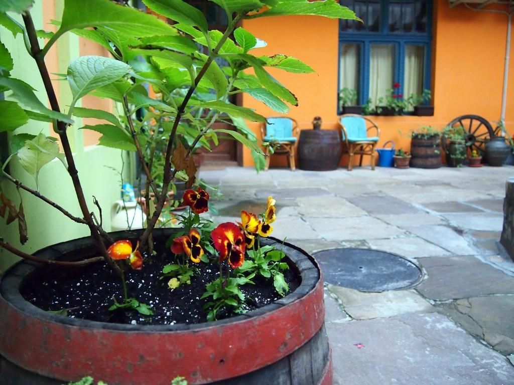 Guest Accommodation Etno Konak Tasana Ниш Екстер'єр фото